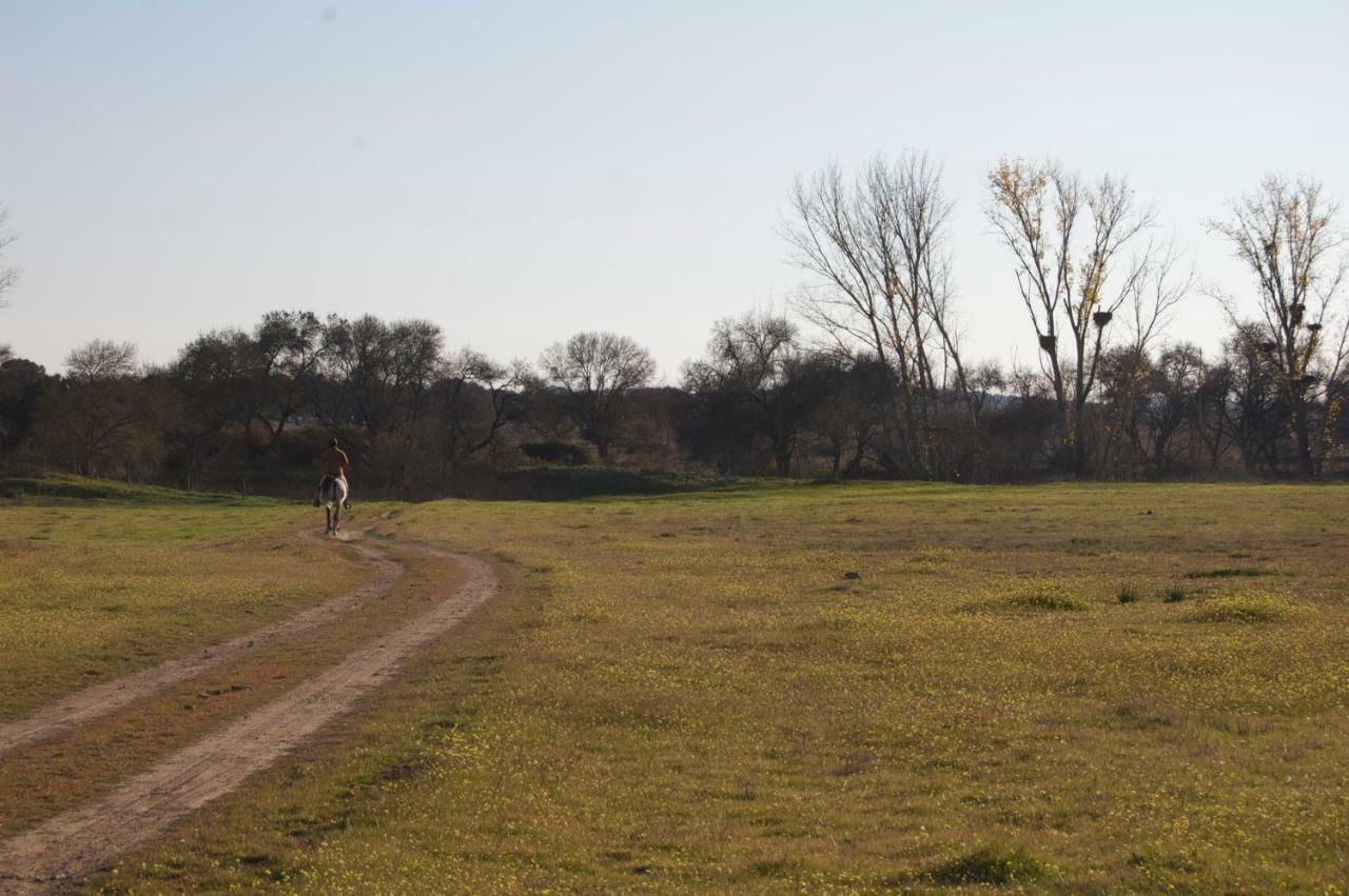 Herdade Da Burquilheira Guest House Alcacovas Exterior photo