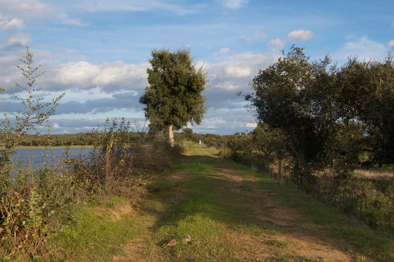 Herdade Da Burquilheira Guest House Alcacovas Exterior photo