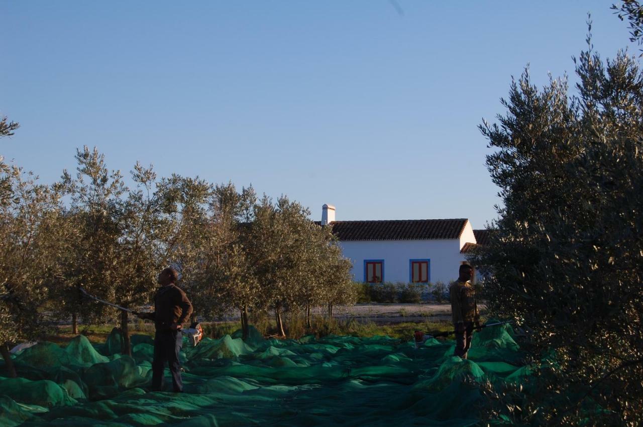 Herdade Da Burquilheira Guest House Alcacovas Exterior photo